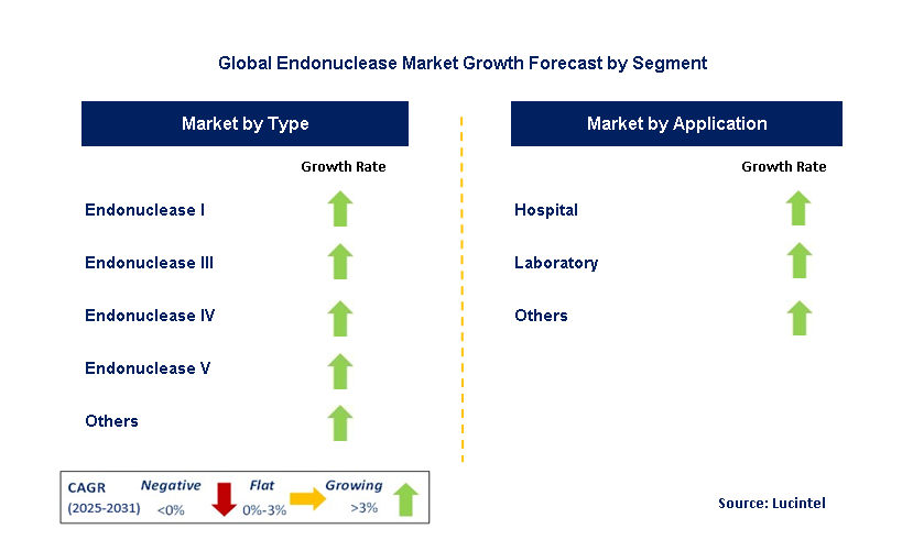 Endonuclease Market by Segment